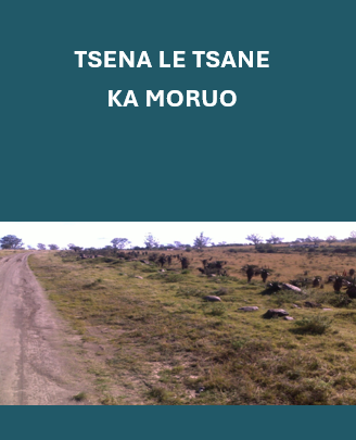 Tsena le Tsane ka Moruo (Sesotho) by Your Next Consultants