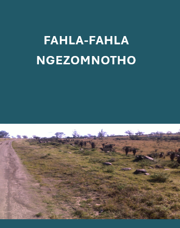 Fahla-Fahla Ngezomnotho (Zulu) by Your Next Consultants